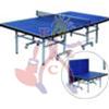 TAVOLO PING-PONG 274X152X76