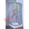  BOX DOCCIA CRIST.TRASP.MM.5 CM.70X70 "IGLO"