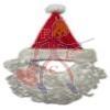 CAPPELLO E BARBA BABBO NATALE  CM30X36/32 CEX